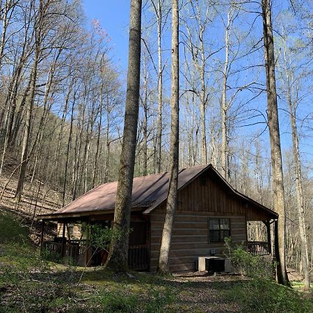 Little Mountain Hideaway Cabin 비둘기 포지 외부 사진