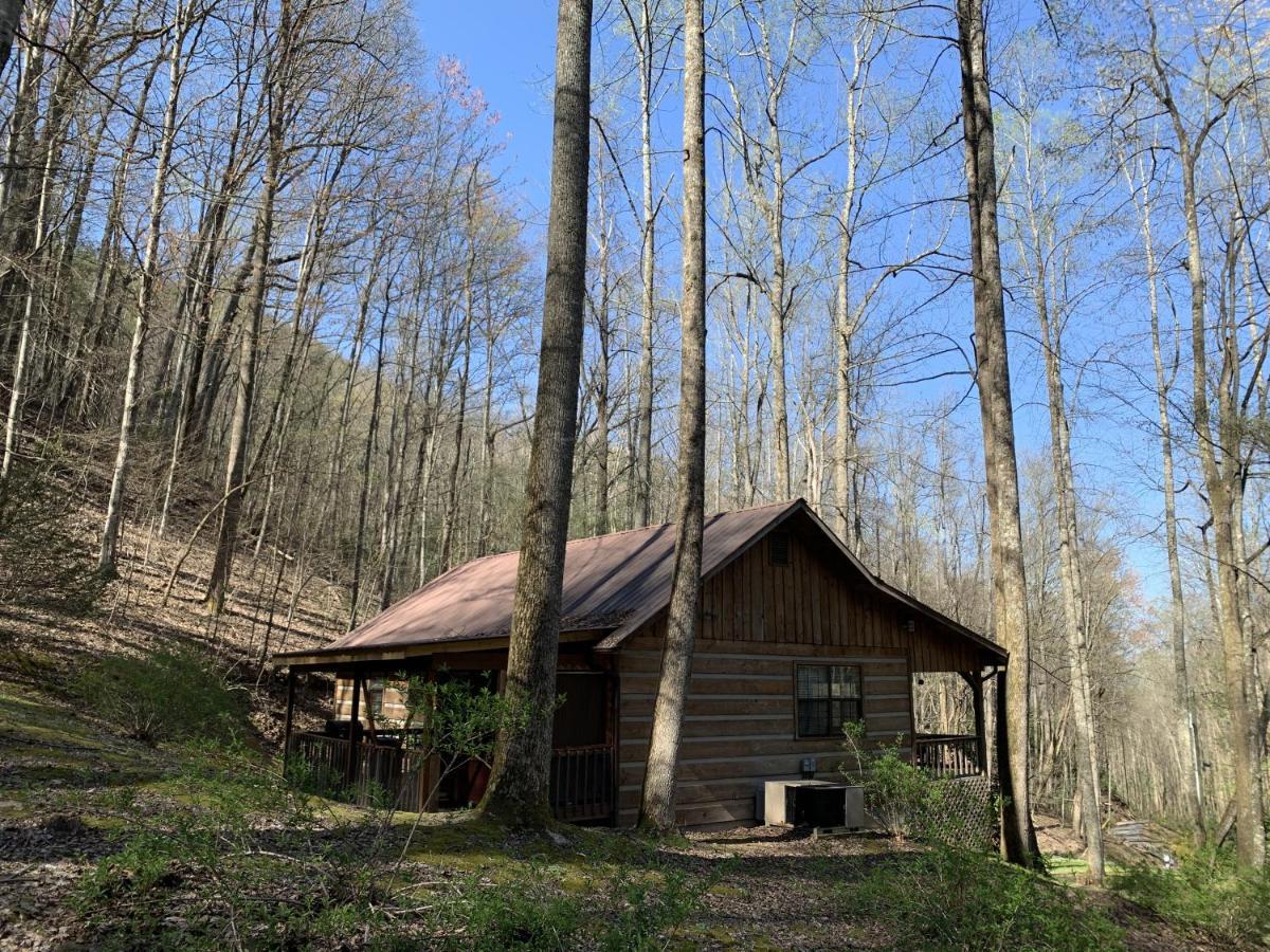Little Mountain Hideaway Cabin 비둘기 포지 외부 사진